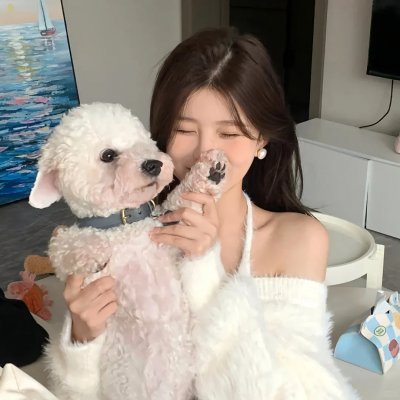 囧途追击